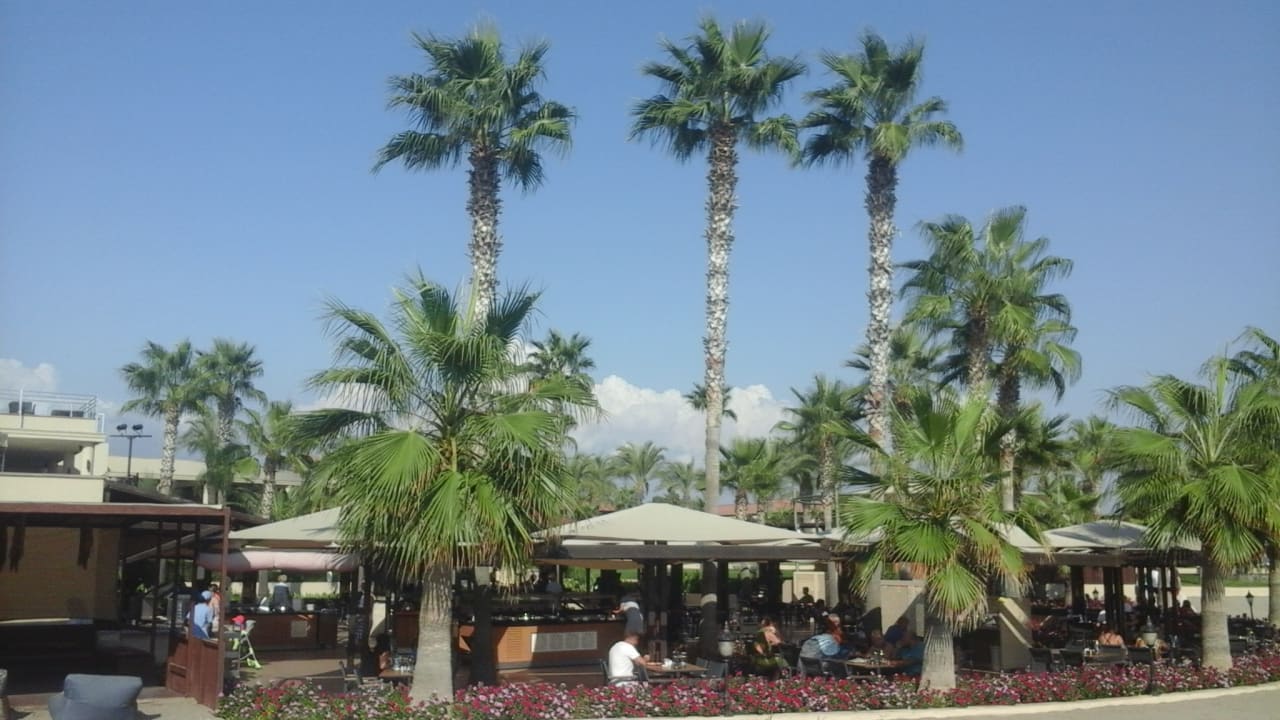 Restaurant TUI BLUE Palm Garden