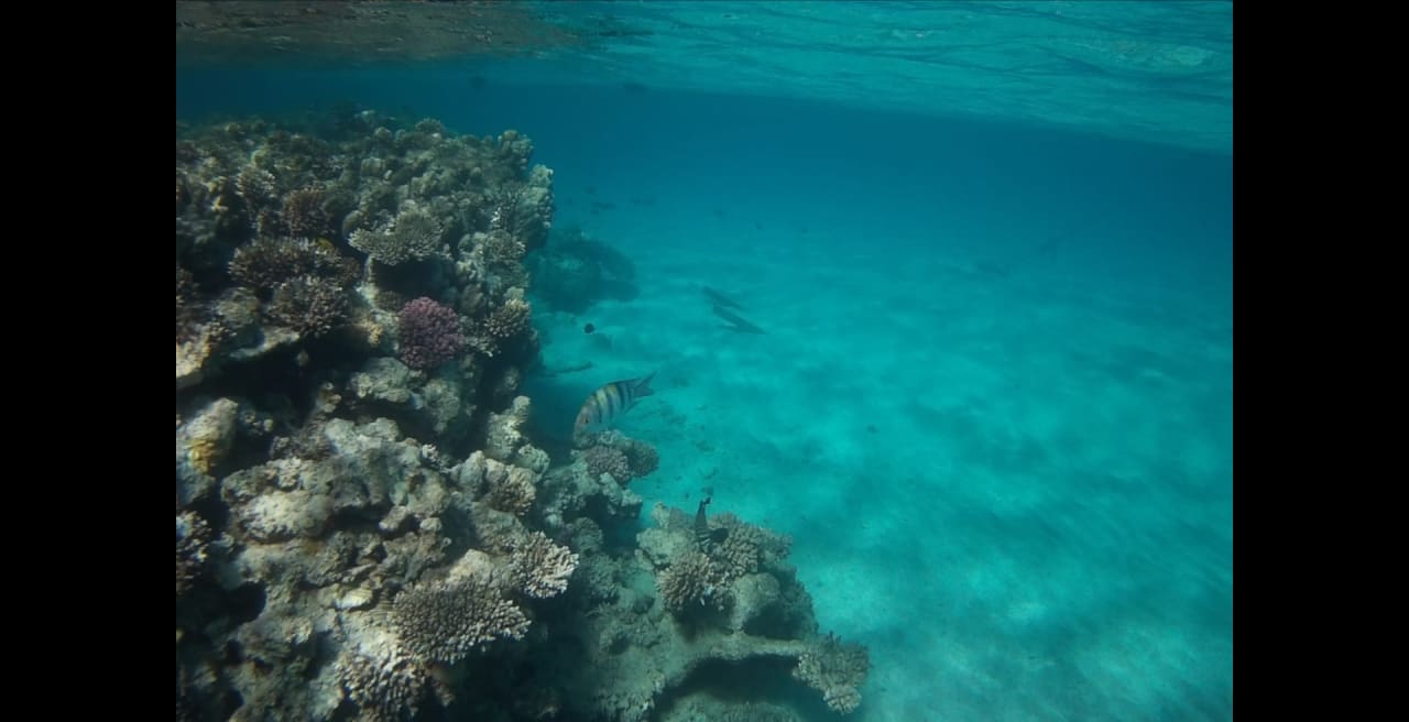 Sport & Freizeit Premier Le Reve Hotel & Spa