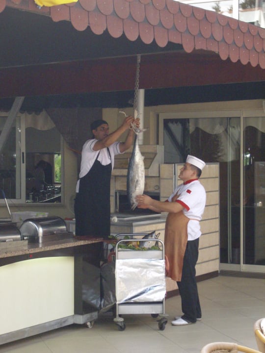 Außenküche Hotel Orfeus Park