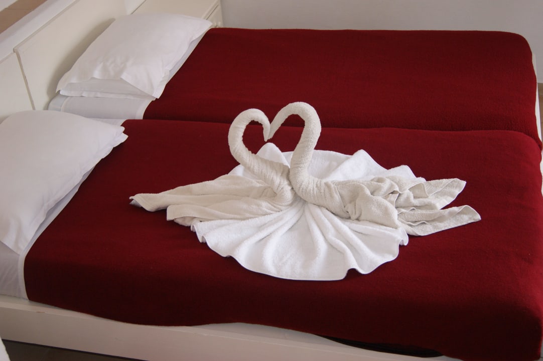 Łabądki Royal Karthago Djerba