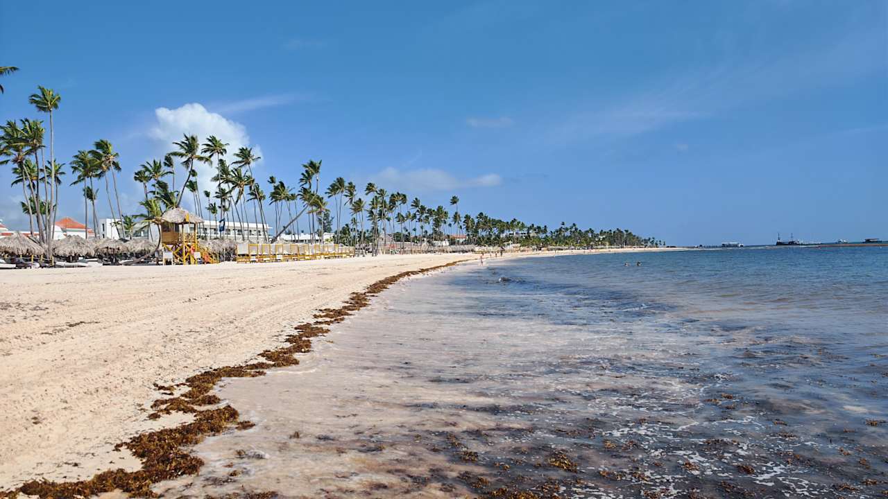 Strand Dreams Royal Beach Punta Cana