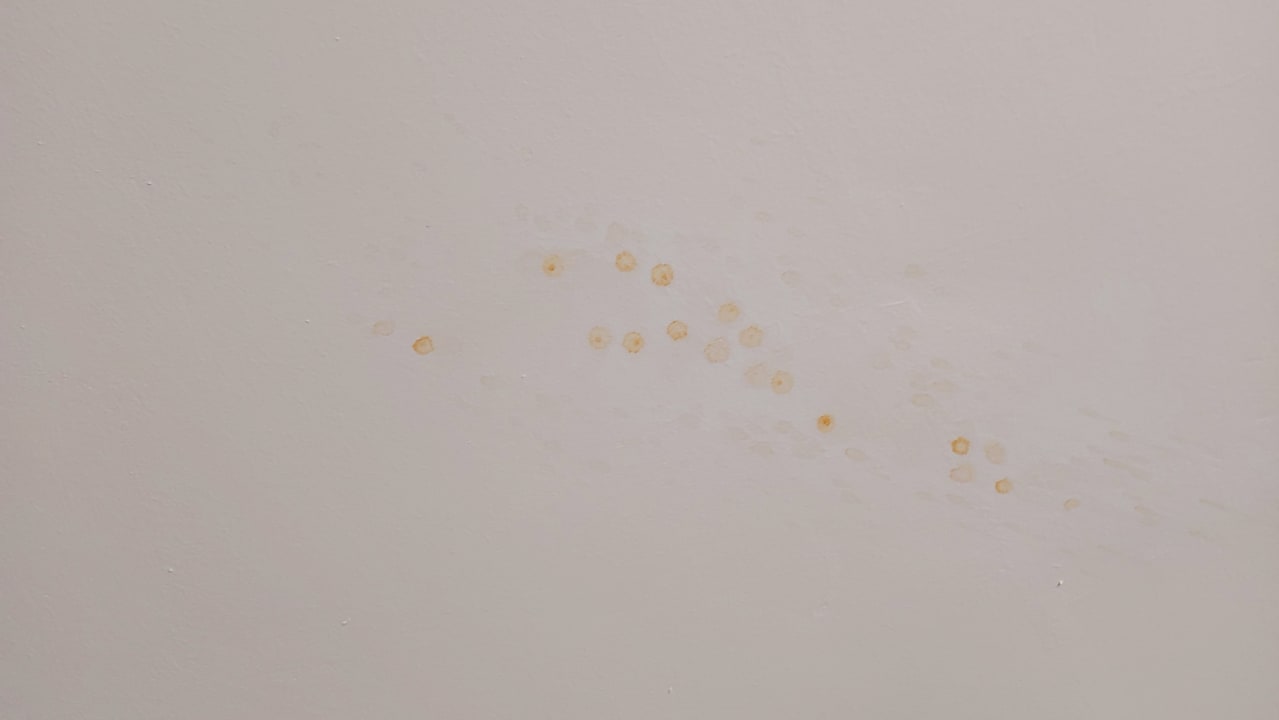 Zimmer ROBINSON JANDIA PLAYA