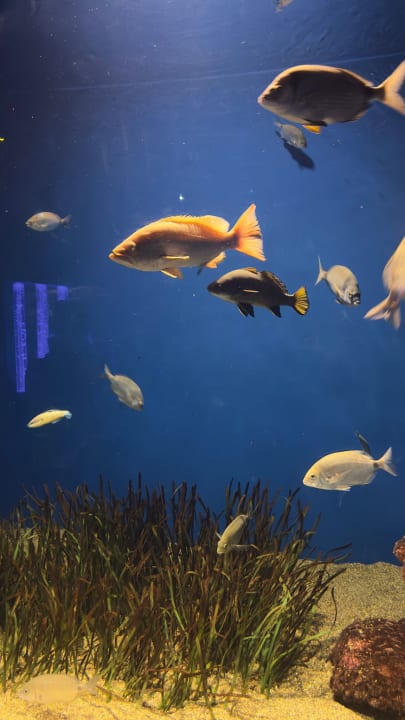 Sonstiges Hotel Mirador