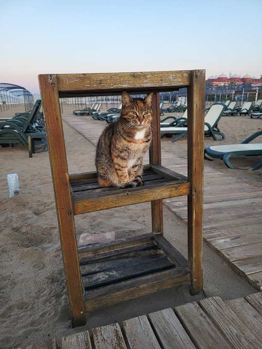 Strand Sentido Trendy Verbena Beach
