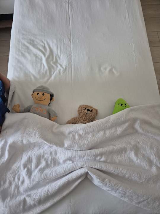 Zimmer Hotel Royal Garden Beach