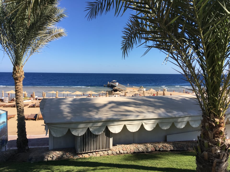 Strand Serenity Alpha Beach