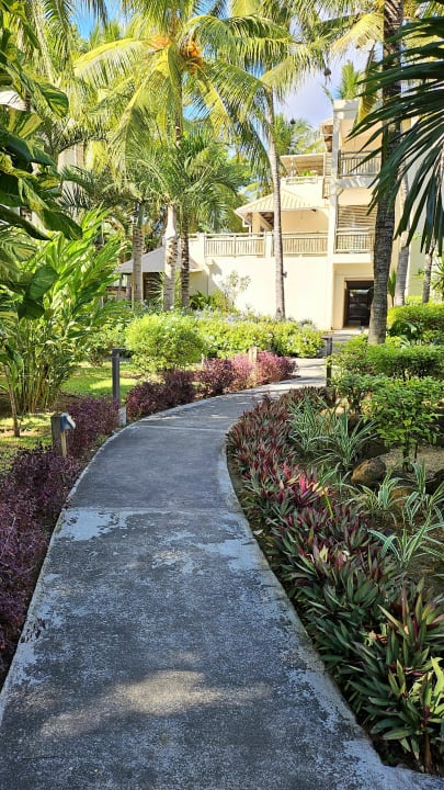 Gartenanlage Lagoon Attitude - Adults only