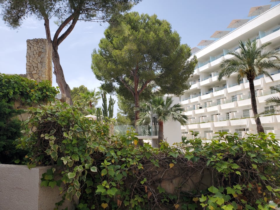 Außenansicht allsun Hotel Bella Paguera