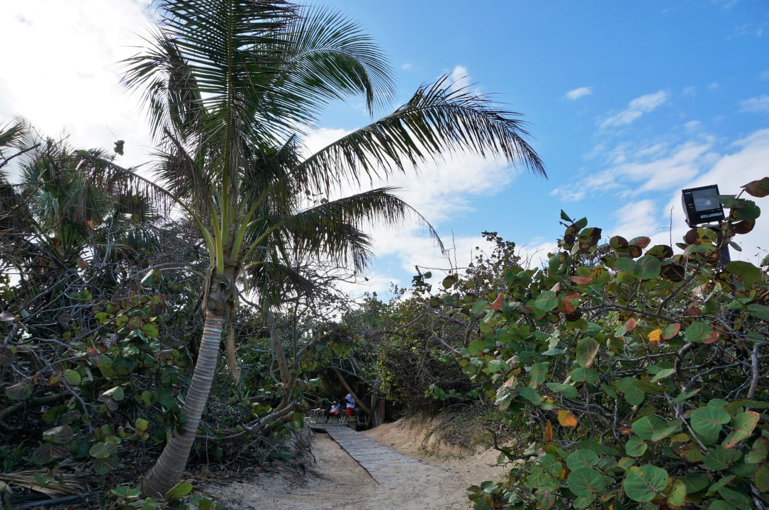 Weg zum Strandbar Melia Las Antillas - Adults only