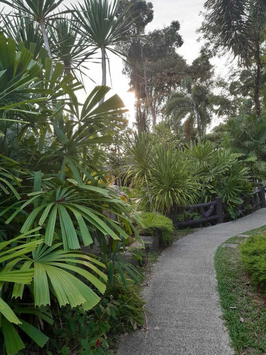 Gartenanlage The Leaf on The Sands by Katathani