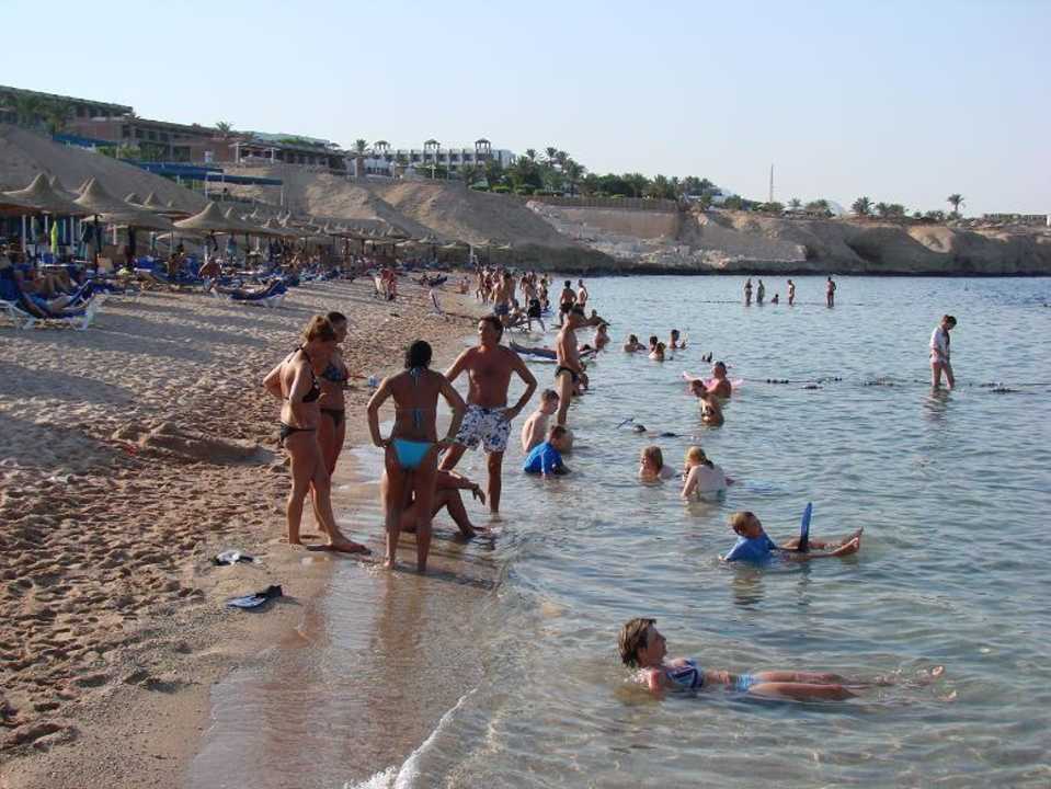 Plaża hotelowa Sultan Gardens Resort