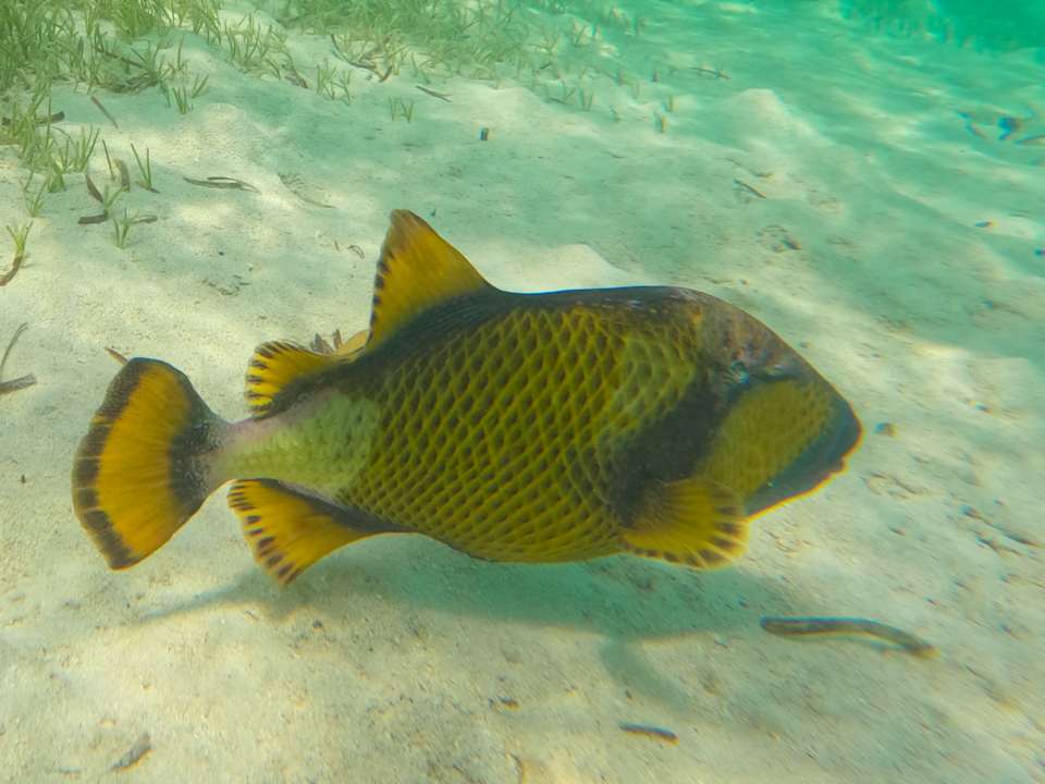 Sonstiges Jawakara Islands Maldives