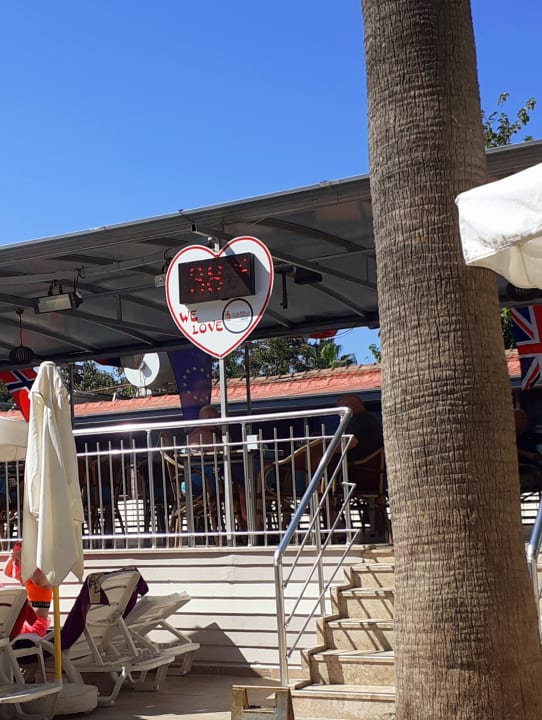 Pool Side Miami Beach