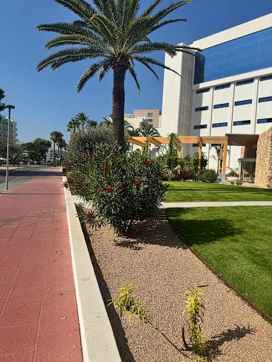 Außenansicht Hipotels Flamenco