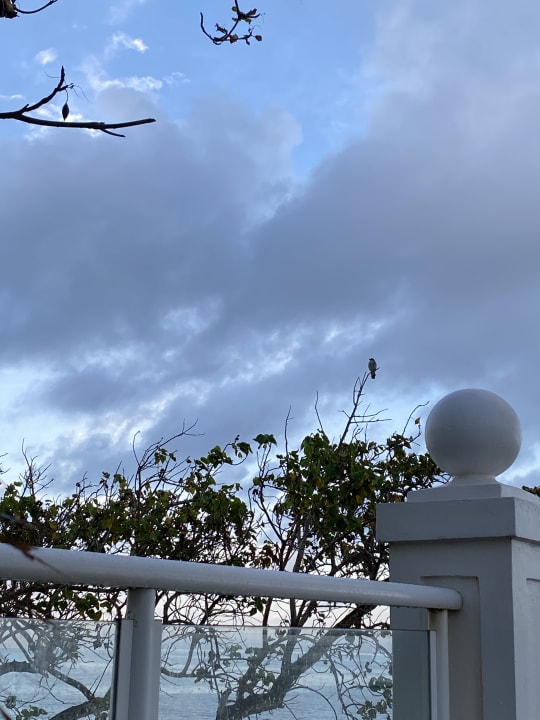 Außenansicht Bahia Principe Grand Samana - Adults Only