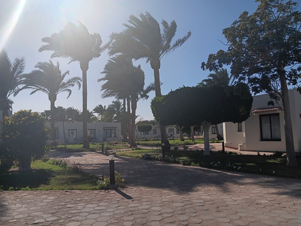 Gartenanlage Pharaoh Azur Resort
