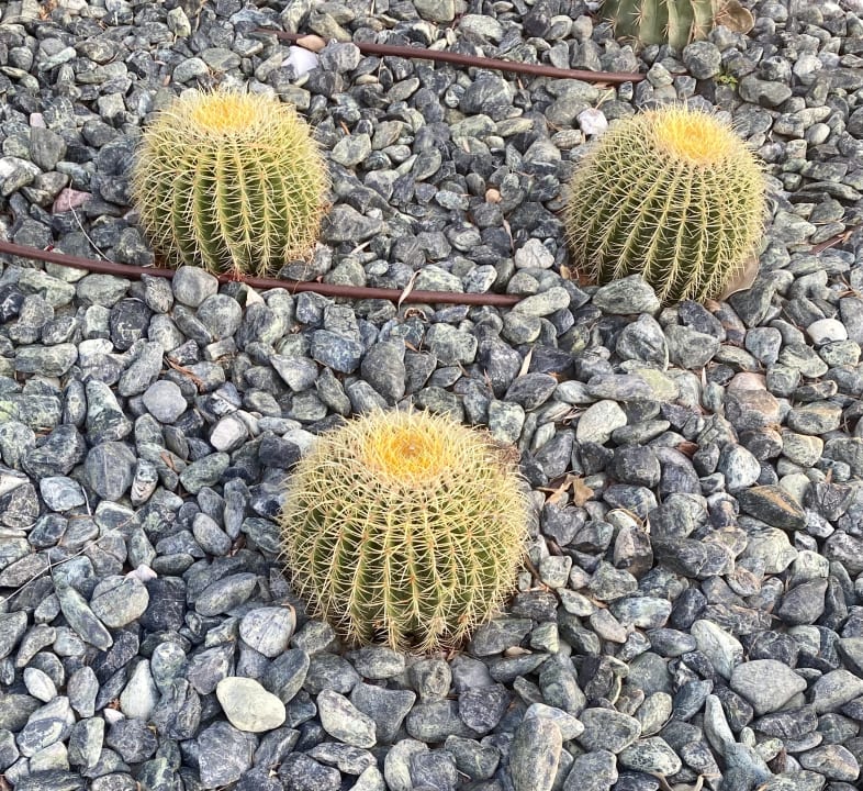 Gartenanlage Anissa Beach & Village