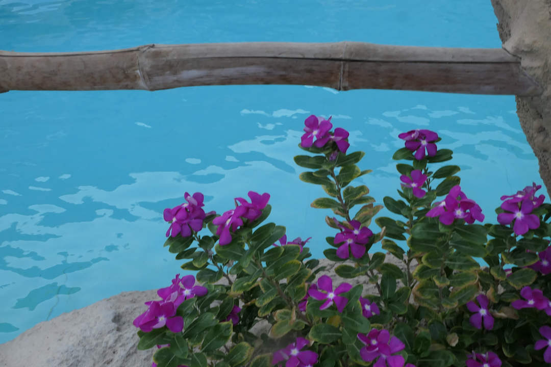 Pool Hotel Caves Beach Resort (Adults Only)