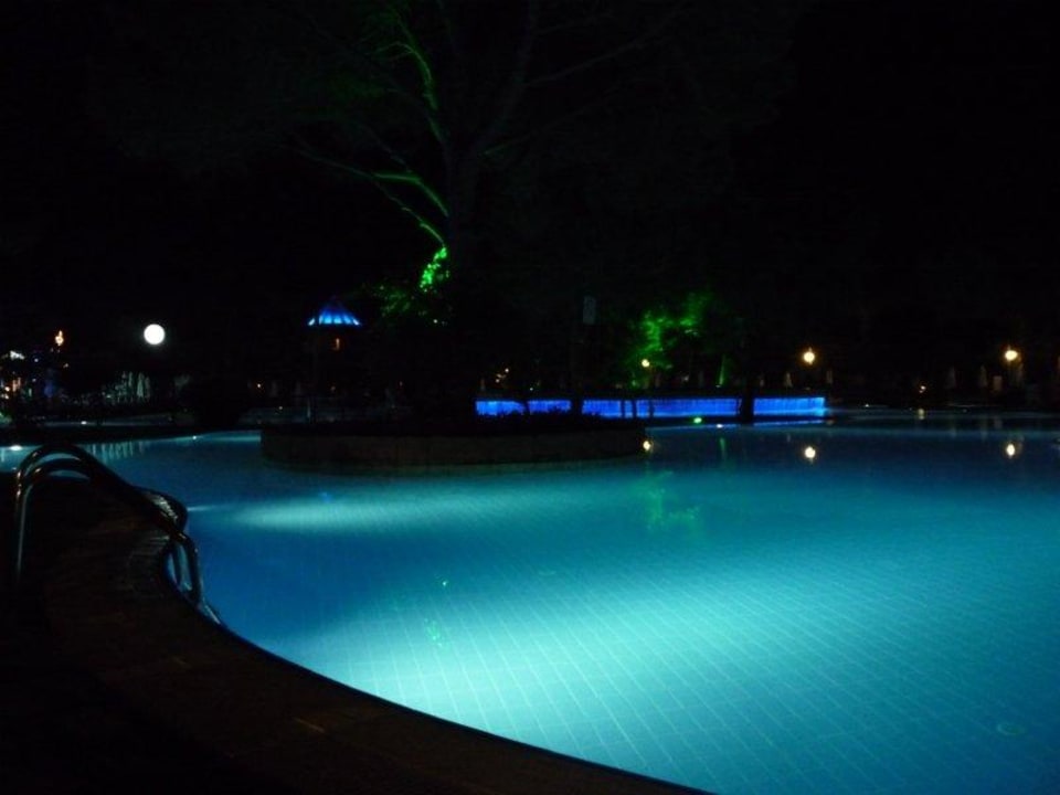 Bazén-večer Papillon Ayscha