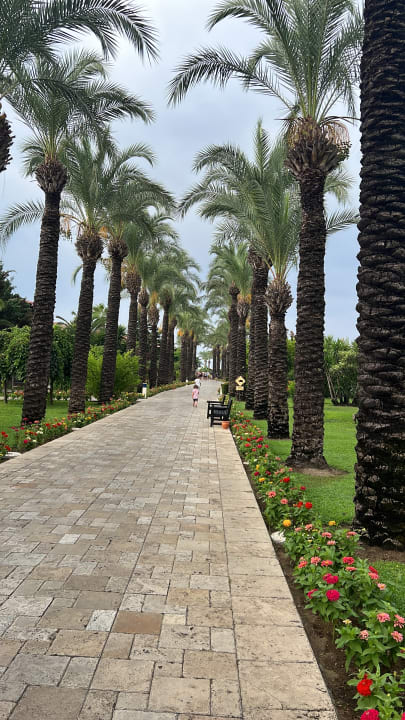 Gartenanlage TUI BLUE Palm Garden