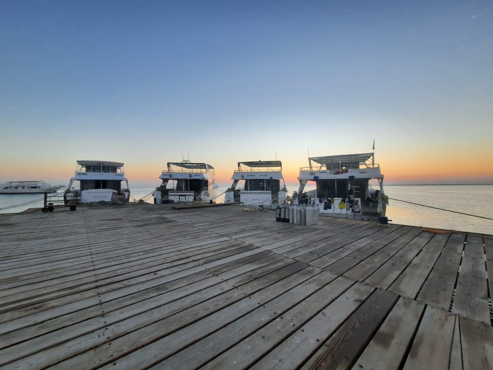 Sonstiges Shams Prestige Abu Soma-Adults Only