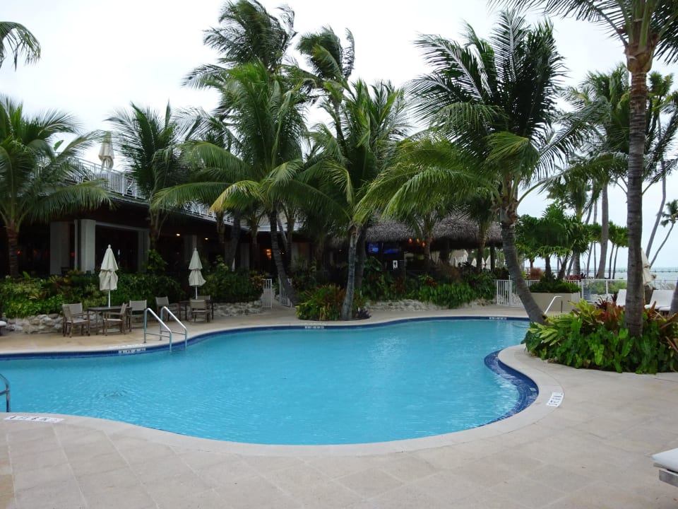 Pool Hotel Cheeca Lodge and Spa