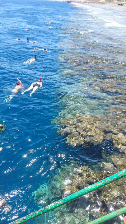 Strand Parrotel Beach Resort