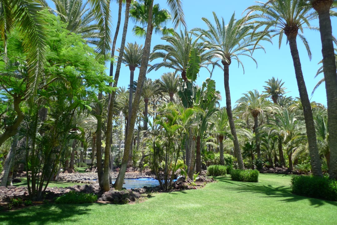 Außenansicht Hotel Riu Palace Oasis