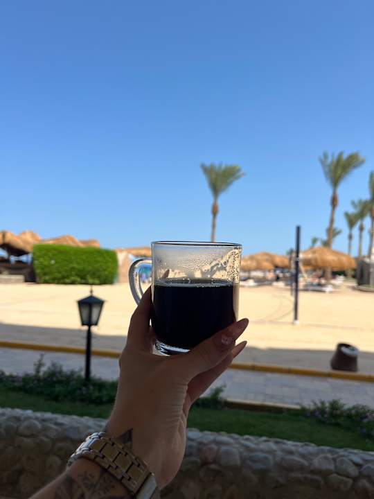 Strand Regina Resort and Aqua Park Hurghada