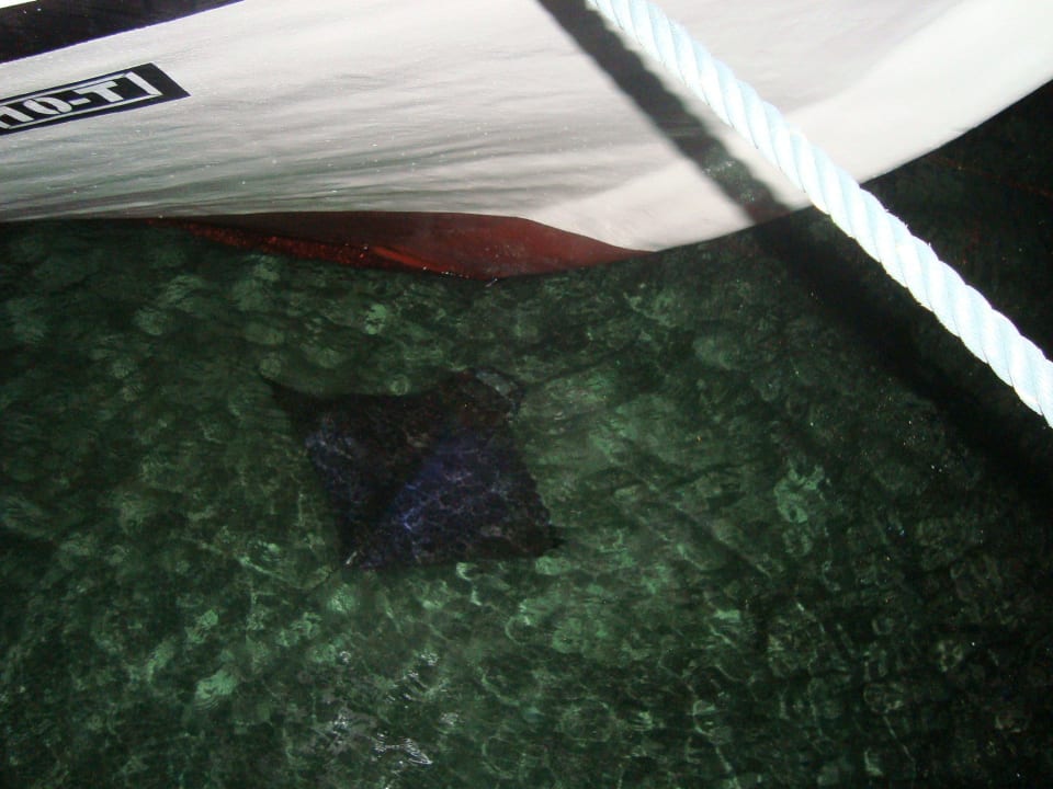 Manta Rochen Kuredu Island Resort & Spa