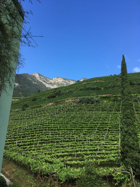 Ausblick Lake Spa Hotel SEELEITEN