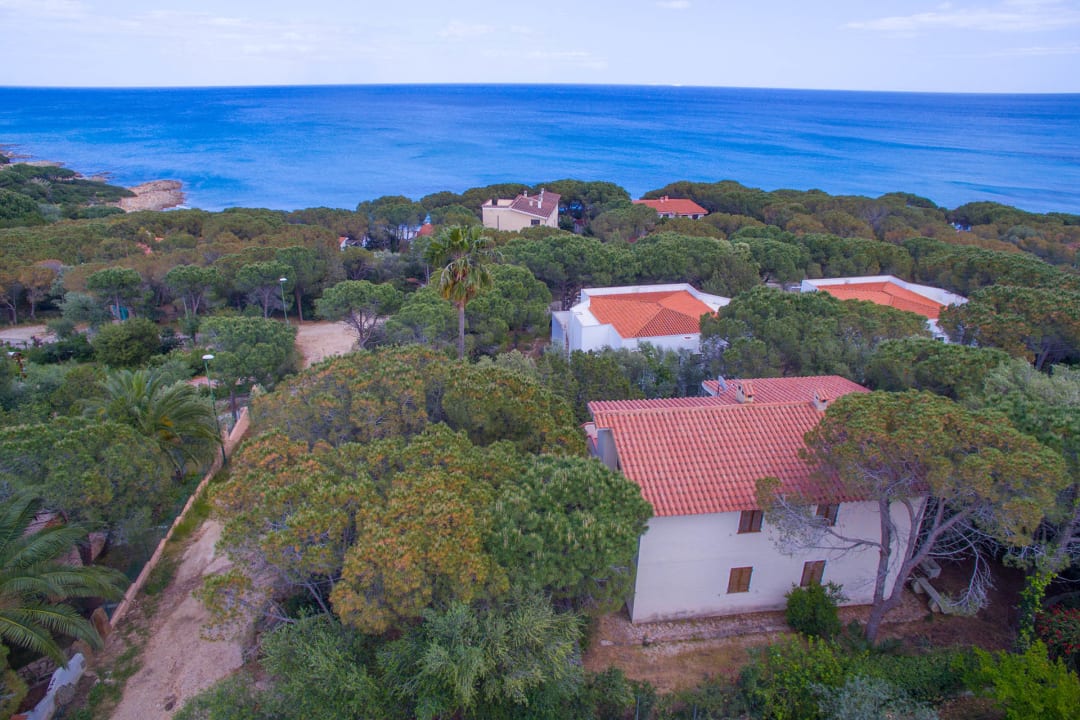 Außenansicht Sardafit Nr. 504p - Villa unter Pinien in Hanglage