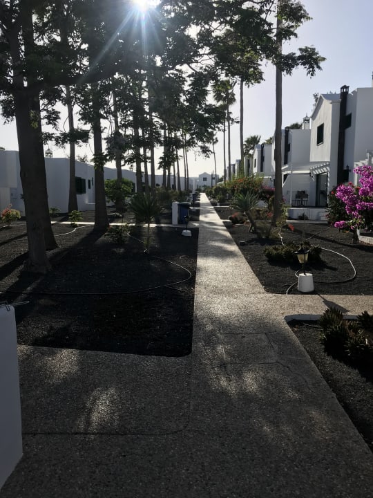 Gartenanlage Hotel Hyde Park Lane