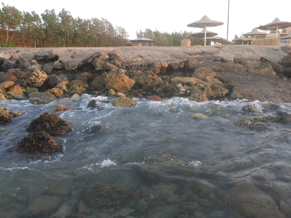 Пляж Desert Rose