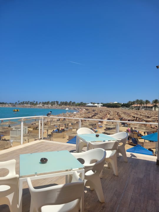 Ausblick Pickalbatros Dana Beach Resort - Hurghada