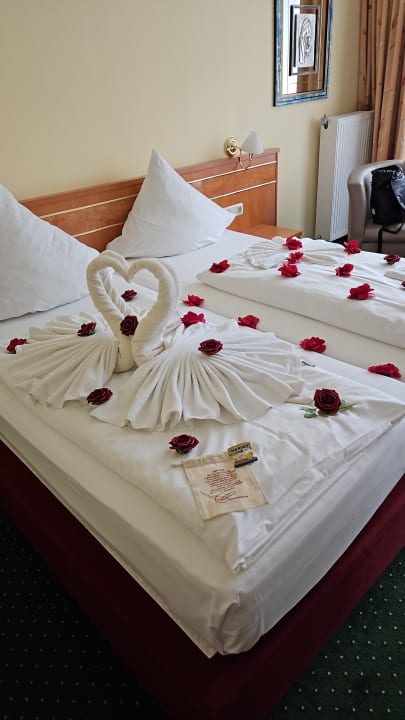 Zimmer Moselstern Hotel Brixiade & Triton