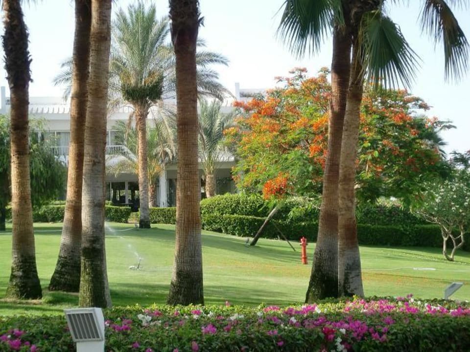 Garten Monte Carlo Sharm Resort & Spa