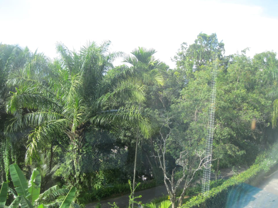 Ausblick Hotel Topaz