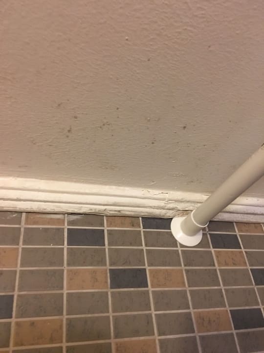 Zimmer Hotel Pine Bay Holiday Resort