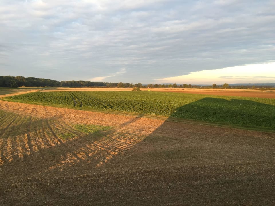 Blick auf Felder Gästehaus Ellenberger