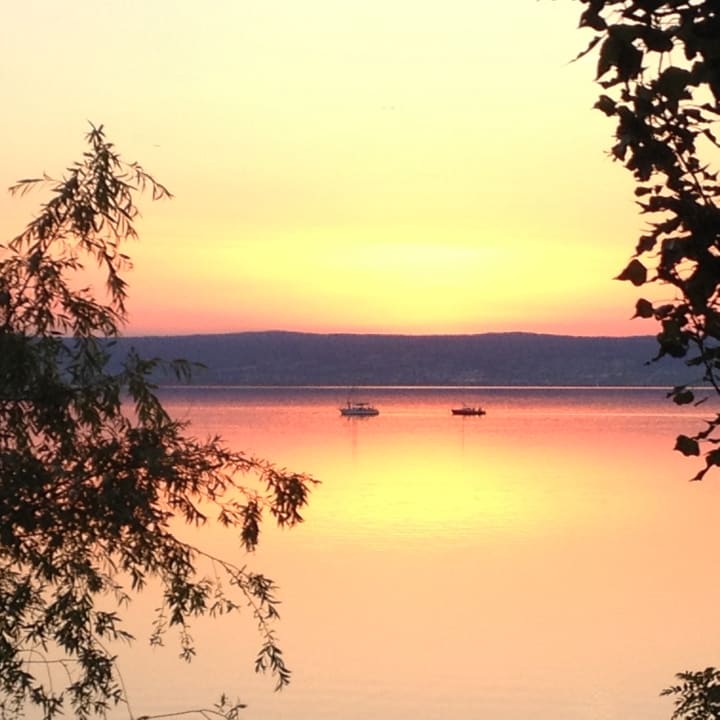 Ausblick Hotel Seewirt & Attila