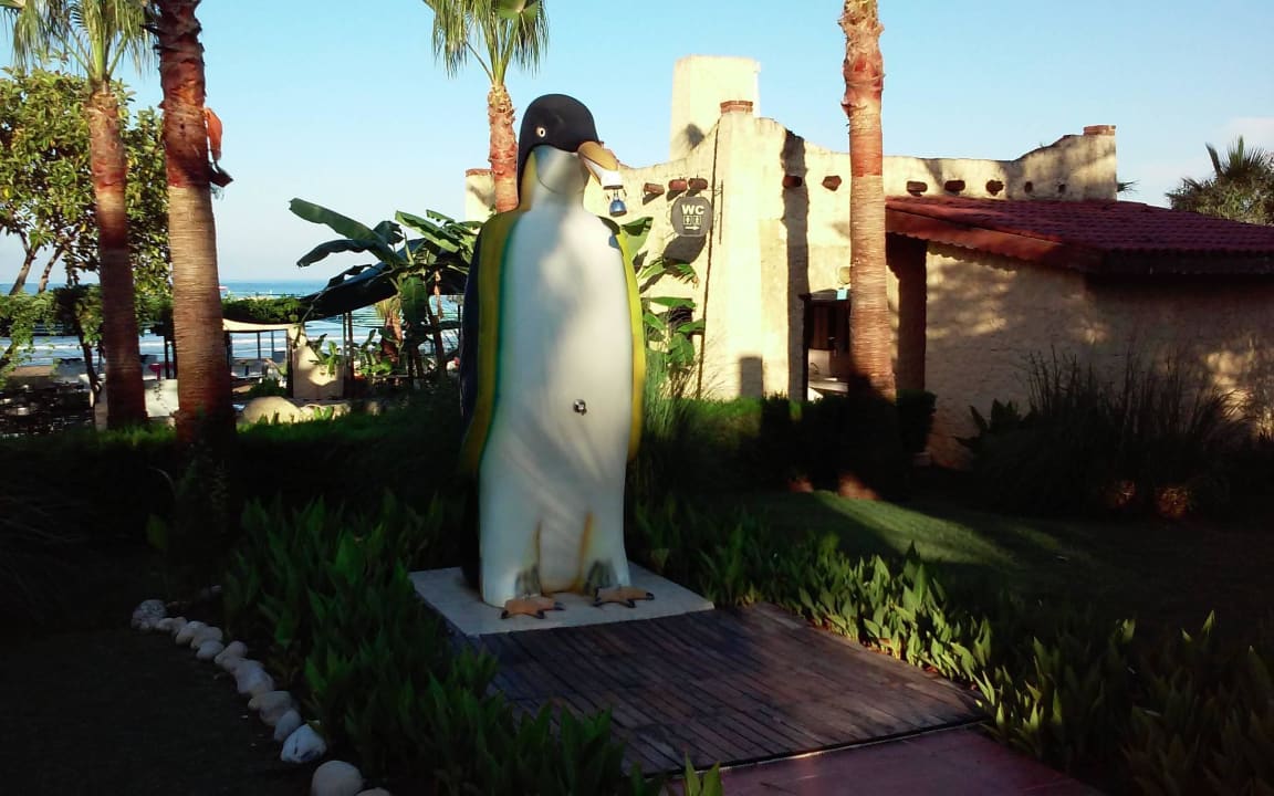 Dusche an der Rutsche Iz Flower Side Beach Hotel