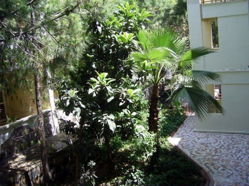 Вид из окна Hotel Club Verano