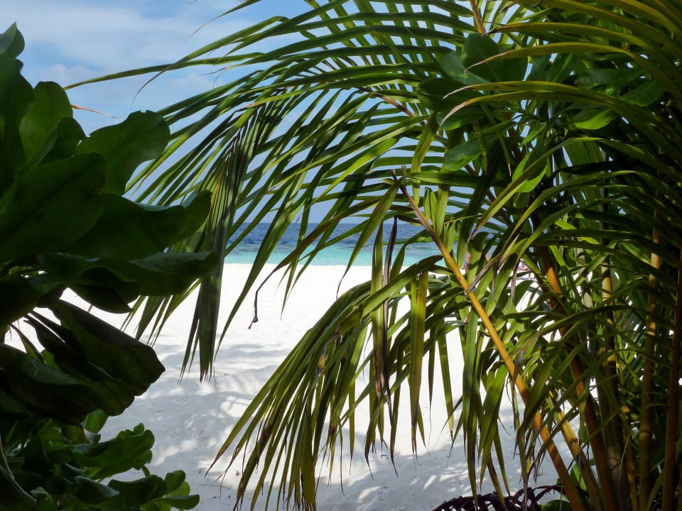 Paradies Eriyadu Island Resort