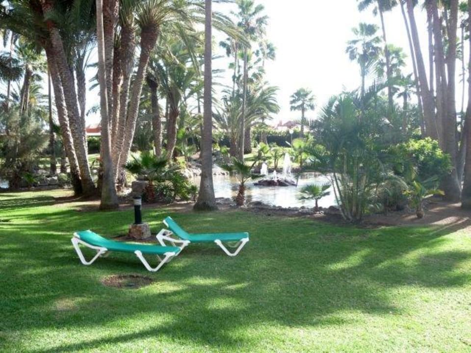 Palmengarten Hotel Riu Palace Oasis