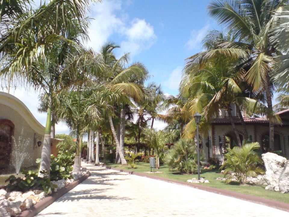 Weg zu den Bungalows Villas Bavaro Resort & Spa