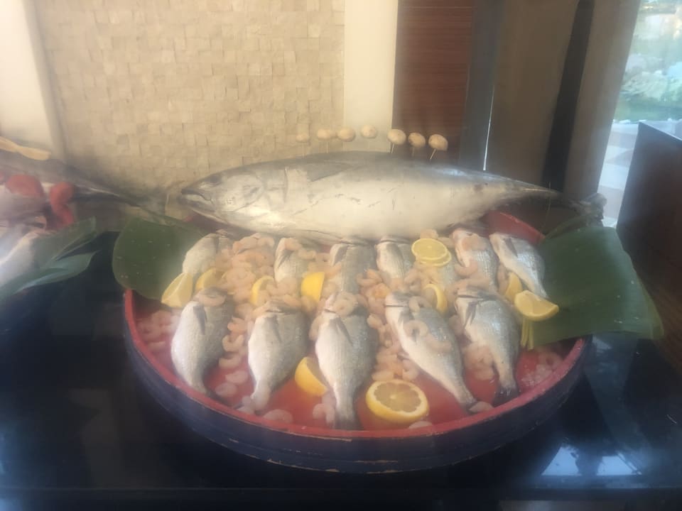 Gastro Paloma Pasha