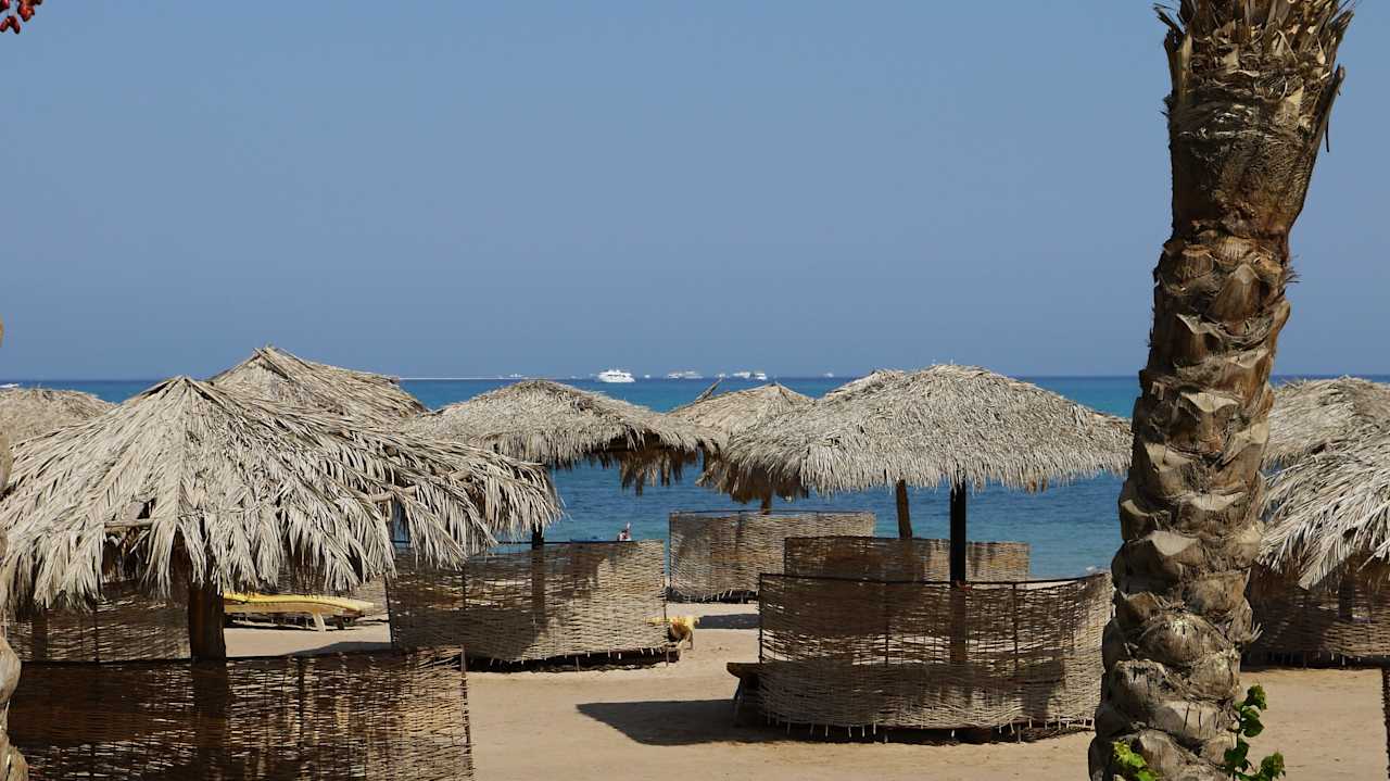 Karibik v Egyptě Sentido Caribbean World Soma Bay