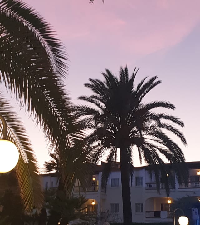 Gartenanlage Alcudia Garden Aparthotel