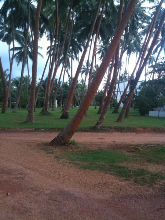 Garten Avani Kalutara Resort